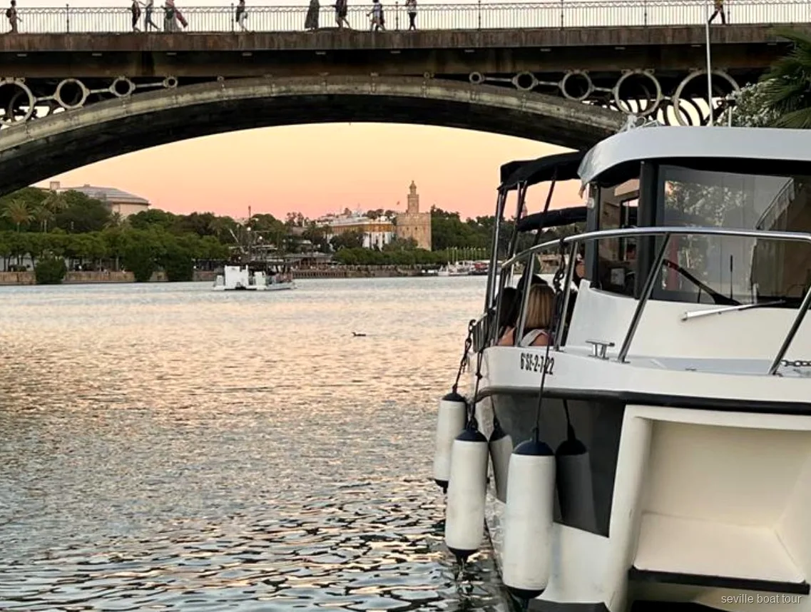 Opción de barco privado en el Crucero Guadalquivir Sevilla navegando junto a Triana